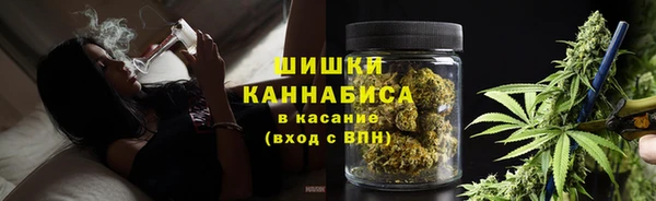 трава Алзамай