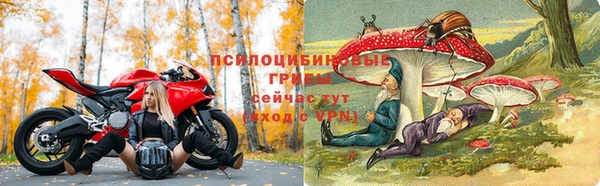 трава Алзамай