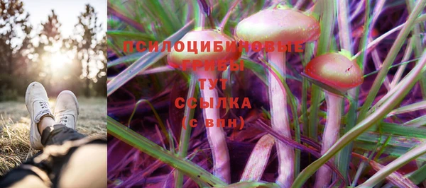 трава Алзамай