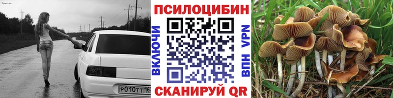 Галлюциногенные грибы мухоморы  купить   мега зеркало  Чёрмоз 