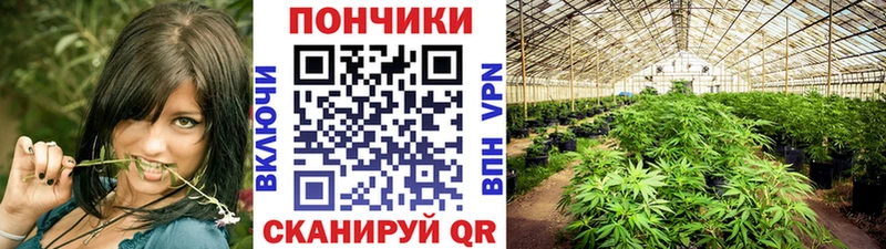 хочу наркоту  Чёрмоз  Бошки марихуана THC 21% 